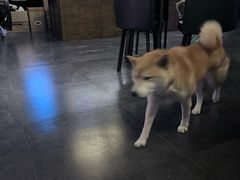 -瞳·实景密室逃脱(护国店)
