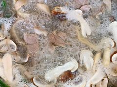 清汤营养锅底-老石黑山羊毛驴肉火锅(金凯广场店)