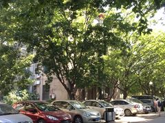 -山东大学(趵突泉校区)
