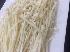 金针菇-新乡杨记红焖羊肉火锅(天坛南门店)