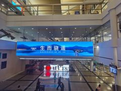 -厦门高崎国际机场-T3航站楼