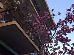 iphone_upload_pic-北京水岸山吧度假村(雁栖镇店)