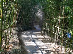 -竹子庵公园