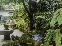 -青城甲(青城山店)