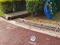 -万绿园
