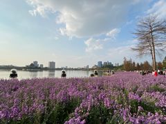 -顺峰山公园