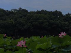 -北山街历史文化街区