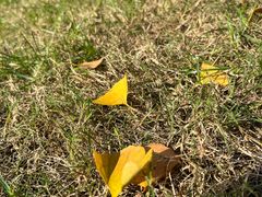 -重庆中央公园(渝北区)