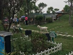 -上海滴水湖皇冠假日酒店