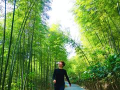 -石塘人家