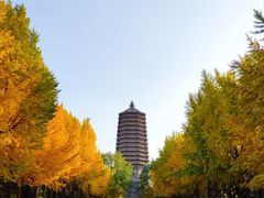 -玲珑塔公园