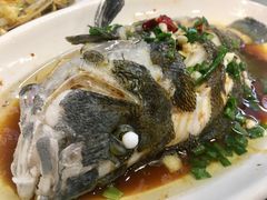 -金海湾海鲜排档(朱家尖店)