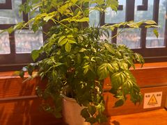 -盛世川王•幸福里(长虹店)