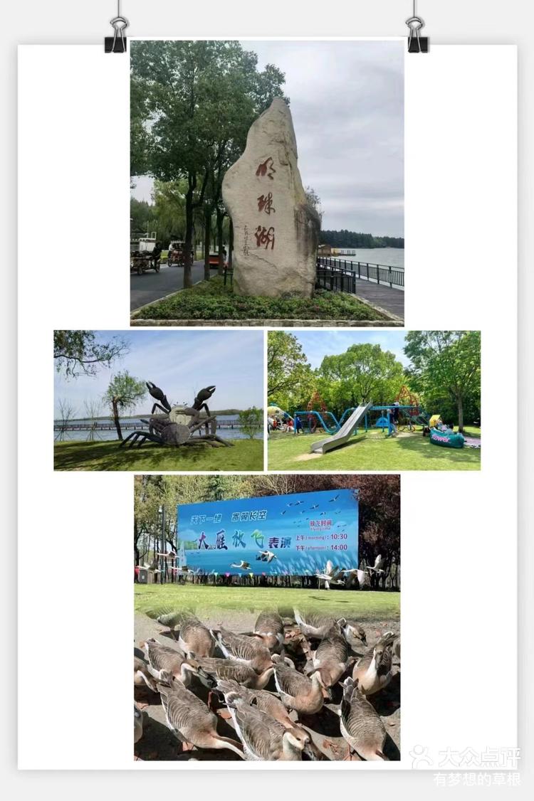 5月30日 17:55 关注 [彩虹]景点:崇明西沙湿地崇明明珠湖公园99门票