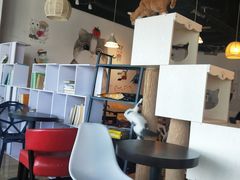 大堂-Cappucimeow猫咪咖啡馆(韦伯时代店)