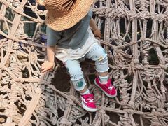 -呀路古热带植物园