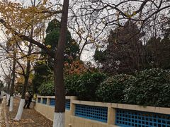 -八大关景区
