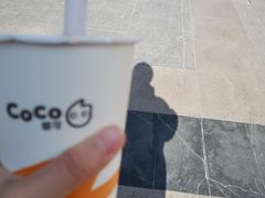 -CoCo都可(江宁托乐嘉店)