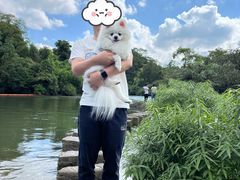 -贵阳市花溪国家城市湿地公园