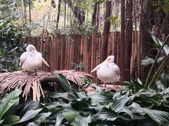 -广州长隆野生动物世界