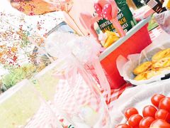 -上海吴淞炮台湾国家湿地公园