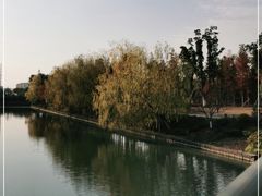 -九科绿洲