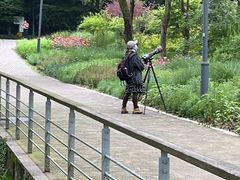 -西湖风景区-江洋畈生态公园