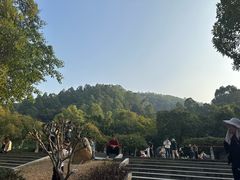 -火炉山森林公园
