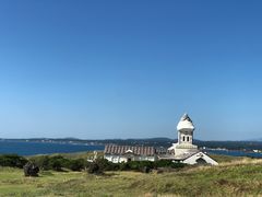 -涉地可支