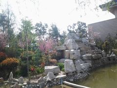 android_upload_pic-孔子研究院