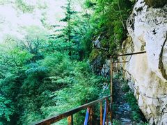 -青峰峡国家森林公园