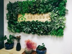 -绿房子心理咨询