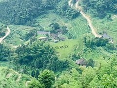 -紫鹊界梯田景区