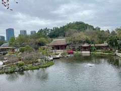 -顺峰山公园