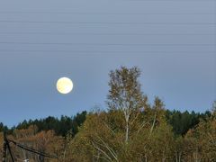 -塞罕坝国家级自然保护区