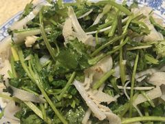 -新侨小馆(东直门北小街店)