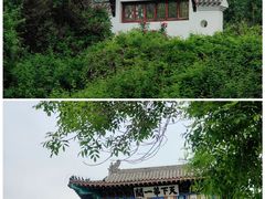 -武清南湖绿博园