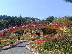 -海心沙亚运公园