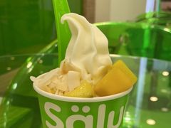 -Salud撒露欧洲冻酸奶(蓝色港湾店)