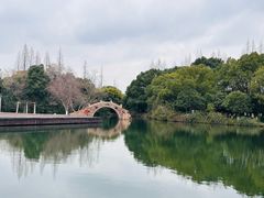 -滋啦啦油煎铺一乌镇萝卜丝饼