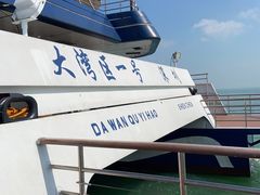 -招商蛇口邮轮母港(观光客运)