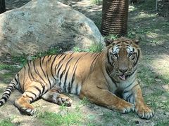 -北京野生动物园