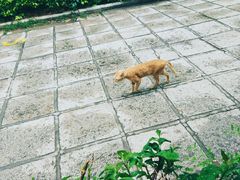 -默迹咖啡馆