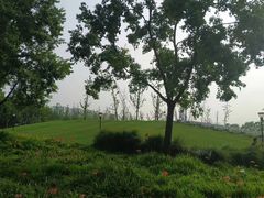 -上海山野camping·户外天幕烧烤·团建拓展营地