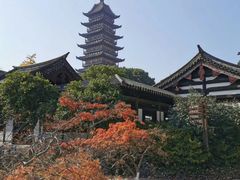 -常熟方塔园