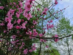 -重庆彩云湖湿地公园