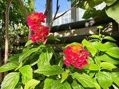 -国家植物园南园