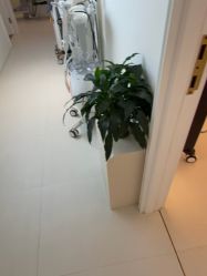 -苑苑vbeauty科技美容SPA