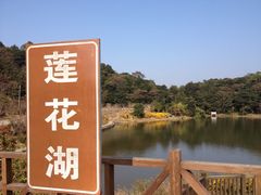 iphone_upload_pic-广州市石门国家森林公园