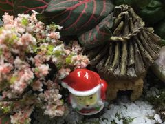 -清岚画室少儿美术培训(平江校区)